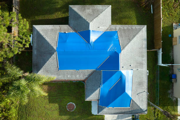 Best Roof Moss and Algae Removal  in Claremont, CA